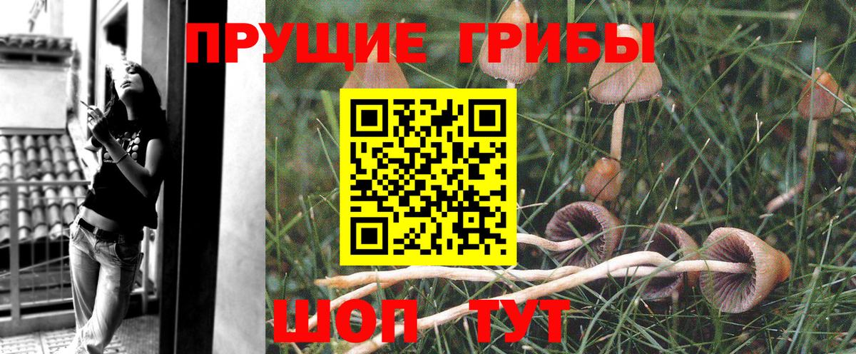 Галлюциногенные грибы Cubensis  Галлюциногенные грибы Magic Shrooms  Вход с VPN  Лабытнанги 