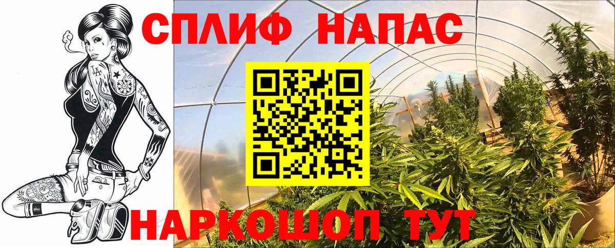 Каннабис ГИДРОПОН Лабытнанги